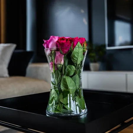 Willa New Luxury By The River Rovaniemi