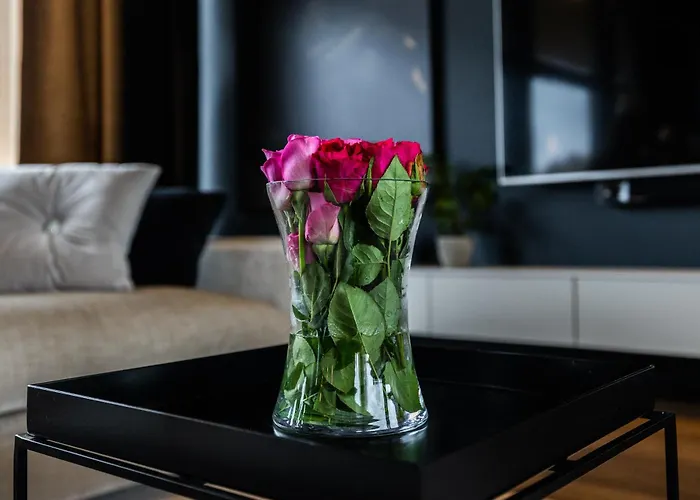 别墅 New Luxury By The River 罗瓦涅米