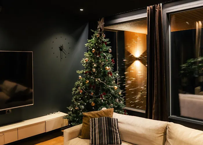 别墅 New Luxury By The River 罗瓦涅米