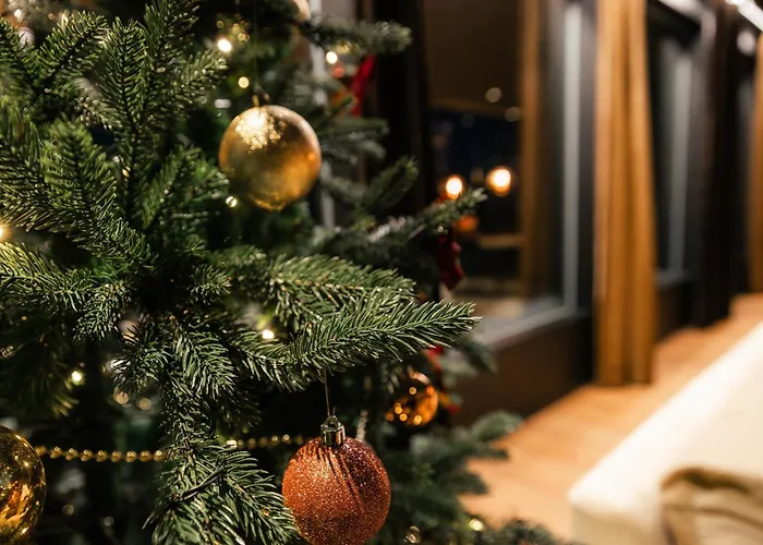 New Luxury By The River * 罗瓦涅米