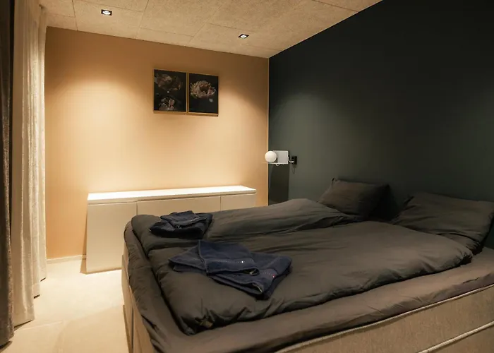 别墅 New Luxury By The River 罗瓦涅米